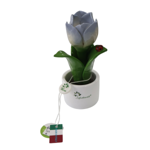 Piantina Nat.Tulipano Blu – Gli alberelli