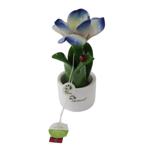 Piantina Nat.Tulipano aperto Blu – Gli alberelli