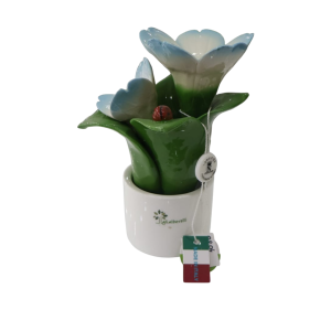 Pianta Natura con due fiori - Gli Alberelli